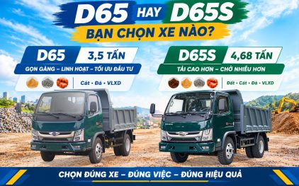Forland D65 hay Forland D65S – bạn chọn xe nào?